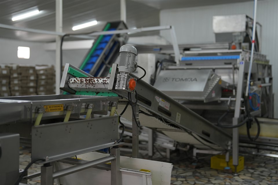The sorting hall at the NNP facility, with a Tomra optical sorter and stainless conveyors running between it and the packing line.