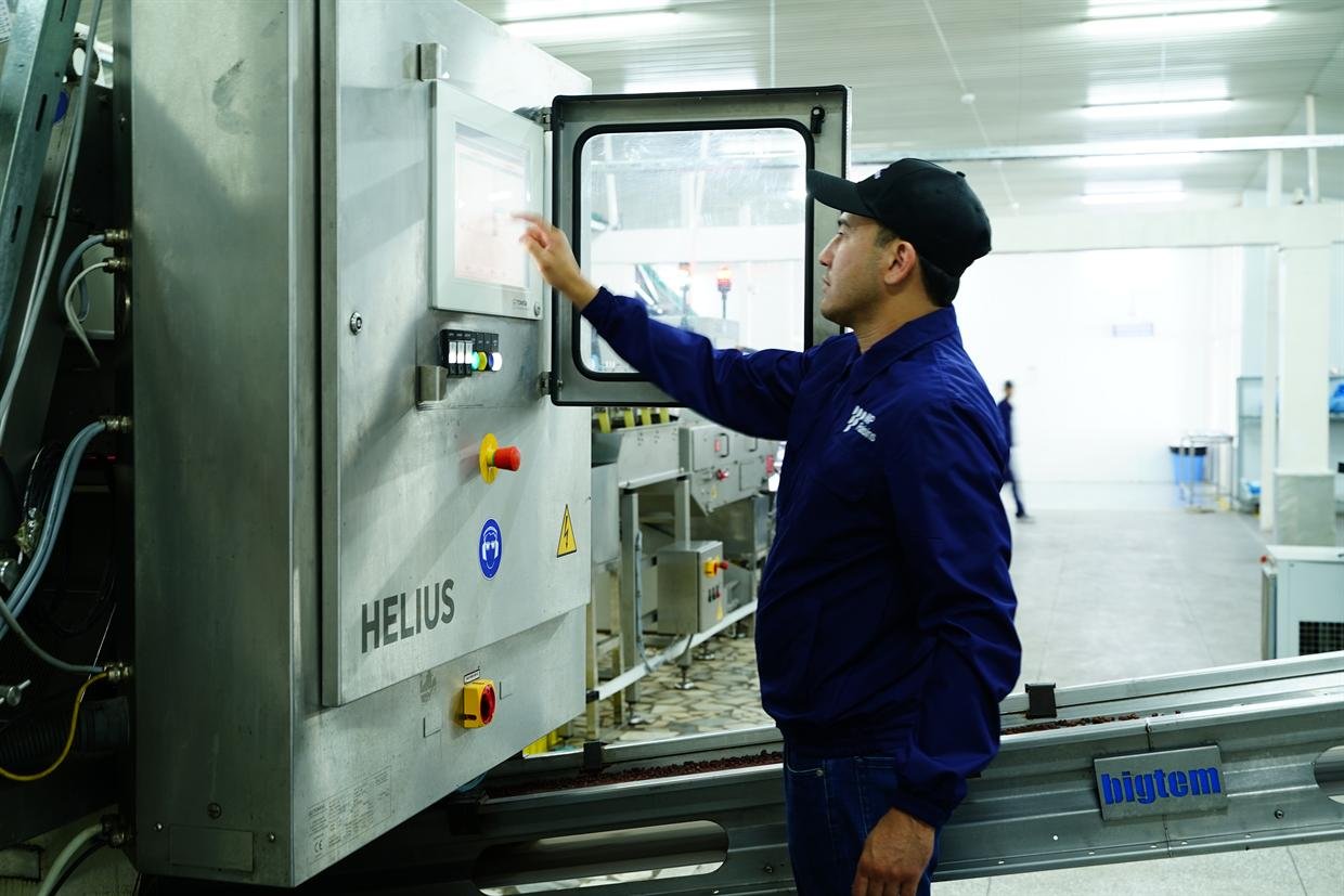 An operator at the control panel of the cleaning and sorting line.