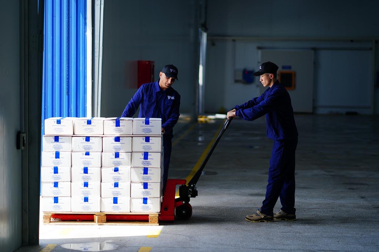 Cartons stacked on a pallet being moved to the loading dock.